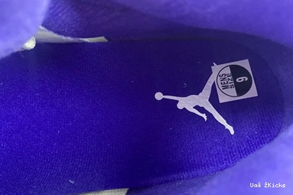 CONCORD 587 DD0587-141 Fashionable Air Jordan5 0815